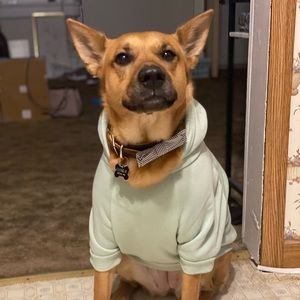 Meet your Posher, Savannah